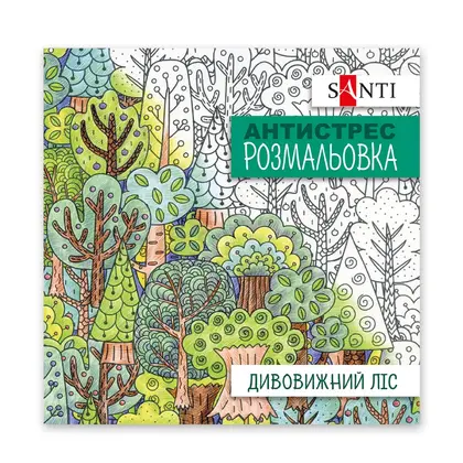 Раскраска антистресс Santi, 20*20 см., 20 сторінок, , Дивовижний ліс, (742912)